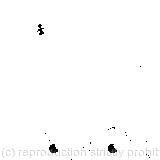 Feebly stretching out one paw/A sharp little bark/Running a little way forwards each time/Large round eyes