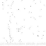  Her eyes immediately met those of a large blue caterpillar