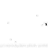 The puppy made another rush at the stick/She picked up a little bit of the stick