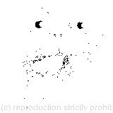 With its tongue hanging out of its mouth