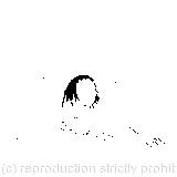 A large pigeon had flown into her face