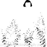 All she could see was an immense length of neck