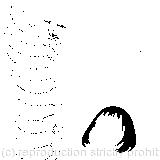  ‘It is a very good height indeed’/’I took to the law’/Her chin was pressed so closely against her foot