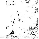 Yet you turned a back-somersault in at the door