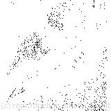 A grin without a cat!