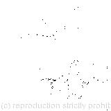 At once set to work throwing everything within her reach; A shower of saucepans, plates, and dishes; The cook was leaning over the fire