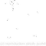 Both footmen had powdered hair