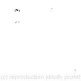 'If you're going to turn into a pig, my dear;' 'That depends a good deal on where you want to get to;' She hurried out of the room