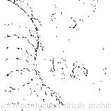 She began nursing her child again