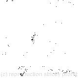 The cook took the cauldron of soup off the fire/’It’s a Cheshire Cat’