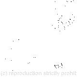 The cook was busily stirring the soup; 'Oh, don't bother me,' said the Duchess; The baby was howling so much already