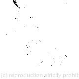 'Have some wine,' the March Hare said in an encouraging tone; 'Your hair wants cutting,' said the Hatter