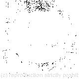 ‘How do you like the Queen?’ said the Cat