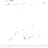 ‘As pigs have to fly’/There stood the Queen