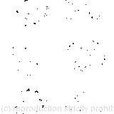 The roses growing in it were white