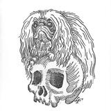 Pekingese atop a Skull