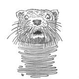Otter