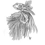 Ghost Crowntail