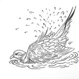 Pigeon Bathing