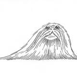 Long-haired Pekingese looking up