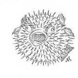 Pufferfish