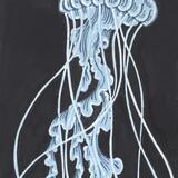 Blue Jellyfish