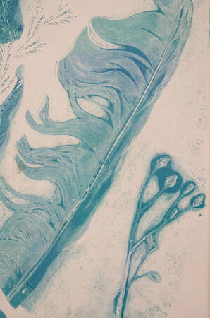 Feathers of Hope - cool blue