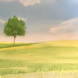 Watercolour Step-By-Step Beginners