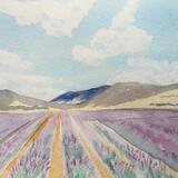 Watercolour Step-By-Step Improvers 