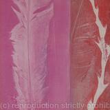 Feather of Hope - pink