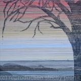 Sunset through the Tree