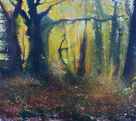 Whitley Morning Light   £200