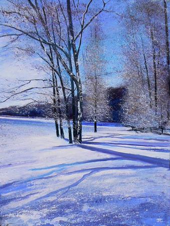 Sunshinesnowshadows  SOLD