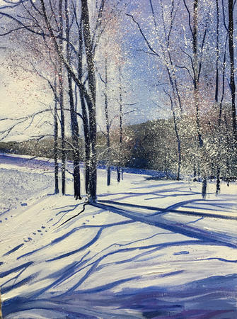 Snowshadows SOLD