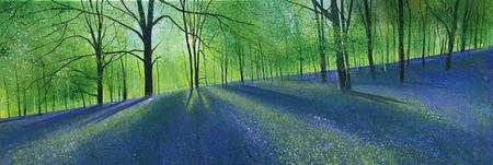 Sylvias Bluebells Day 155 SOLD