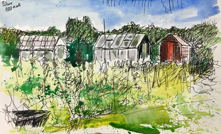 Bolsover Allotments Day 245  NFS