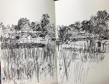 More Allotments Day 246 NFS