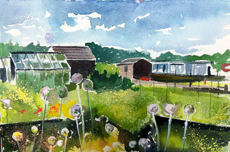 Allotments Day 247 NFS