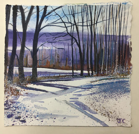 Winter Woodland Walk Day 318