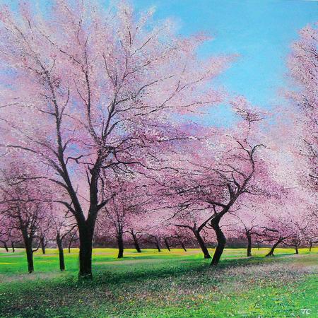 Springtime Pink Elmton