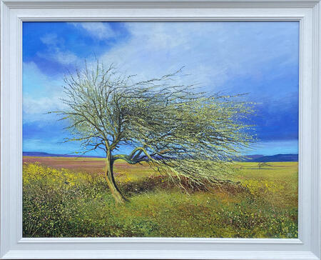 Socially Distant Hawthorne 2 SOLD