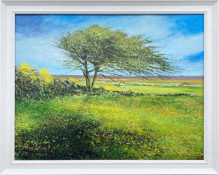 Socially Distant Hawthorne 2