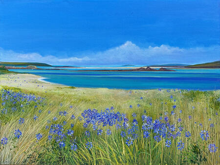 SCILLY AGAPANTHUS BLUE sold