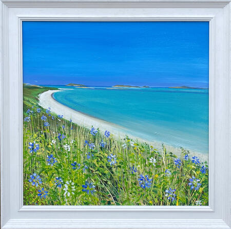 SCILLY AGAPANTHUS SOLD