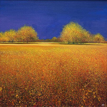 I LOVE THE LIGHT SOLD