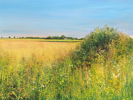 ACROSS THE FIELDS TO STEVES sold