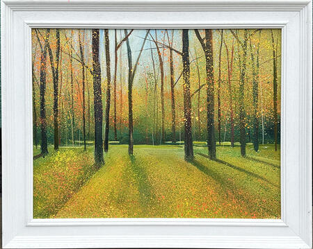 AUTUMN LIGHT FILTERS