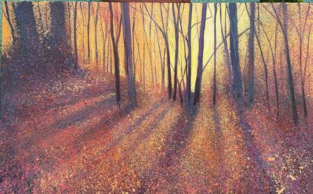 NIEPER WOODLAND WALK