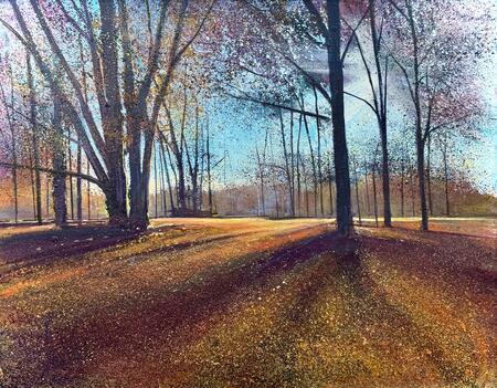 NOVEMBER MORNING LIGHT