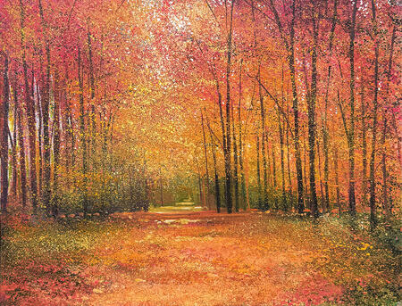 A PATH THROUGH SHERWOOD